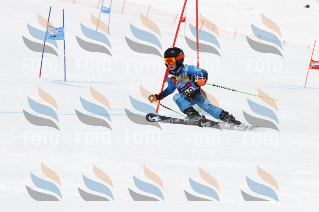 _U3G7712 | holidayphoto