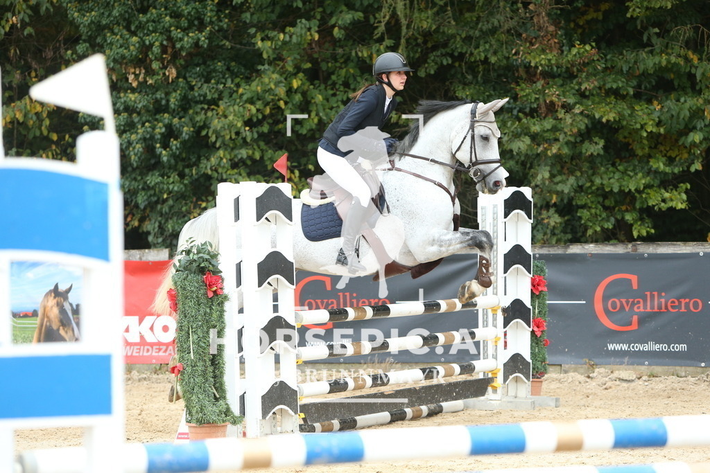 DL2Q5545 | Willkommen bei Brunnmayr - Design & Fotografie – Ihrem Spezialisten für Reitturniere und Pferdeveranstaltungen in Oberösterreich, Salzburg und Bayern! Seit über 17 Jahren sind wir leidenschaftlich dabei.