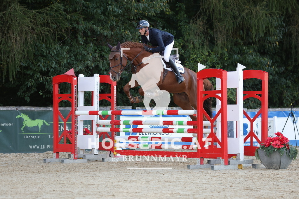 0P6A3873 | Willkommen bei Brunnmayr - Design & Fotografie – Ihrem Spezialisten für Reitturniere und Pferdeveranstaltungen in Oberösterreich, Salzburg und Bayern! Seit über 17 Jahren sind wir leidenschaftlich dabei.