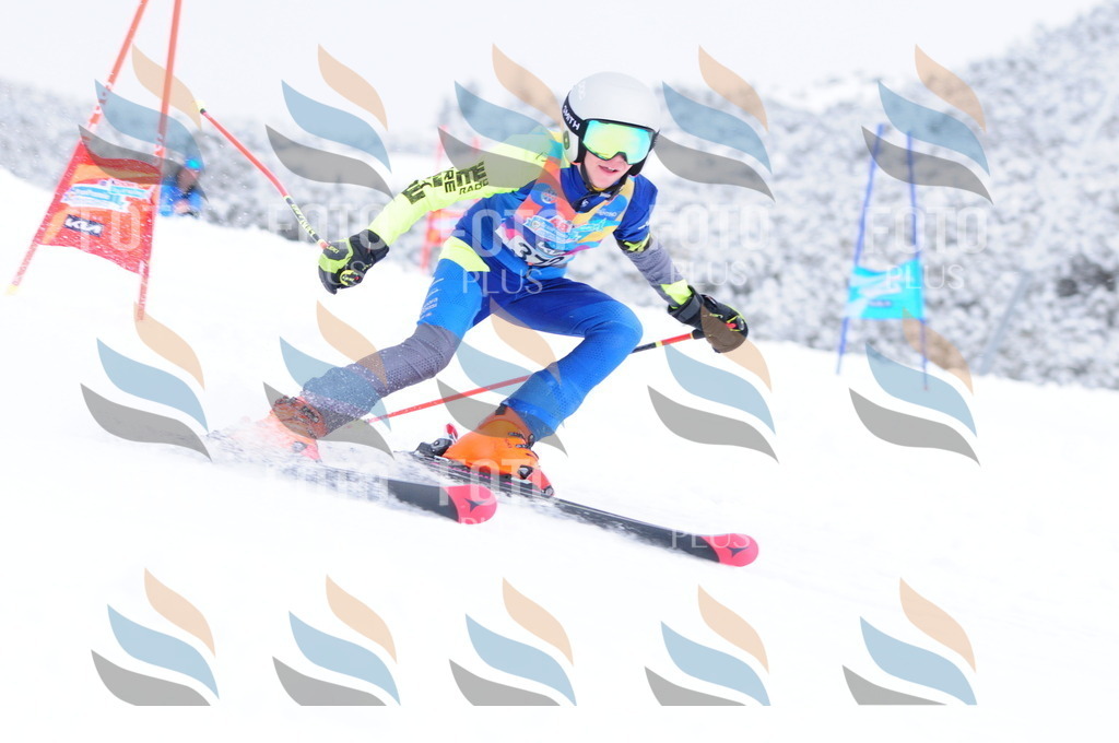 C3968 | holidayphoto