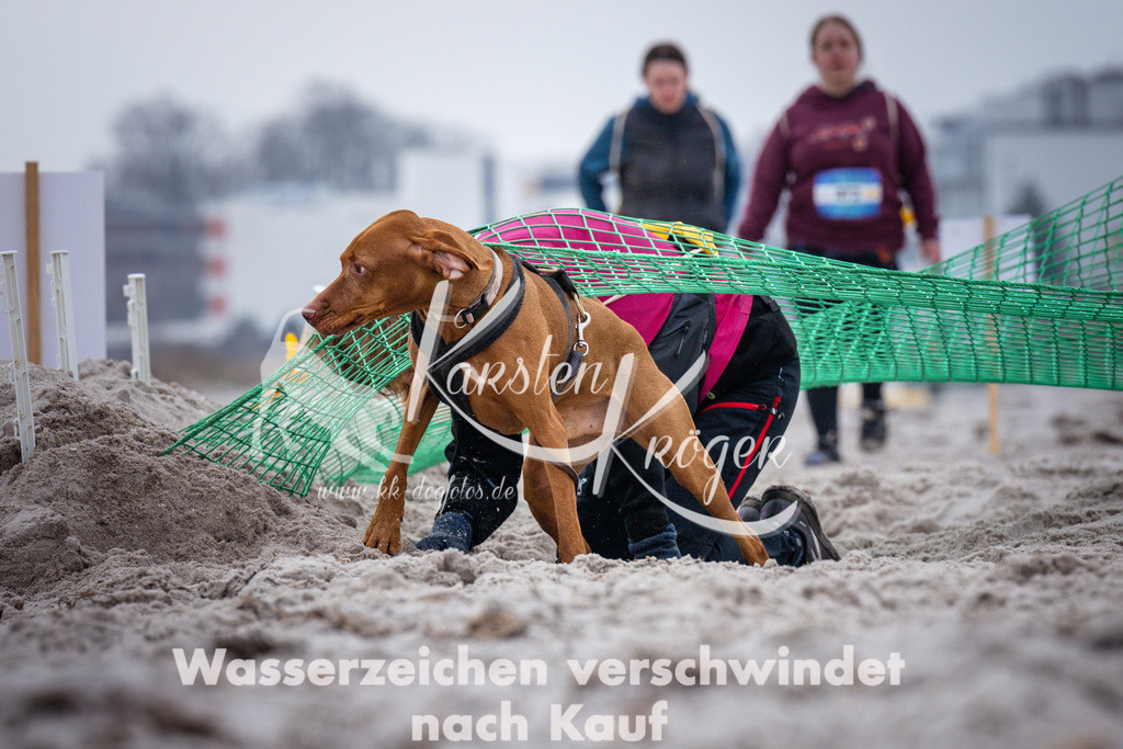 1219_ZZ93534 | kk-dogfotos