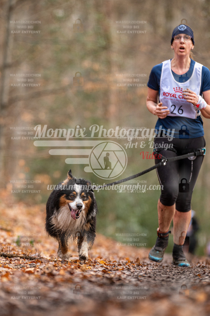 SPA_2023_DIM_CCL-129 | PayLife