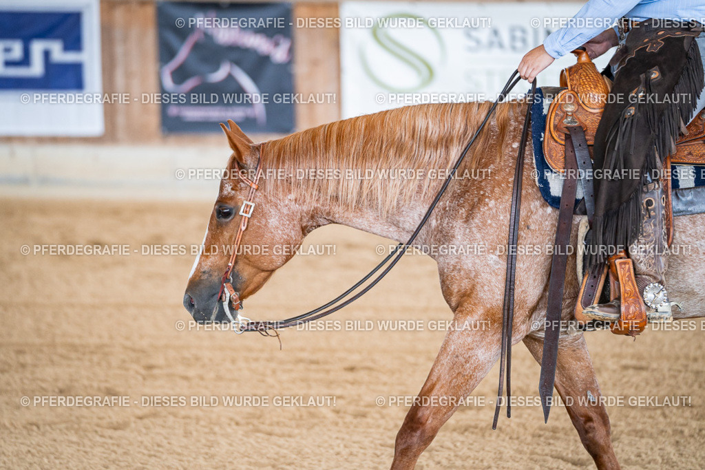 DSC08116 | Pferdegrafie