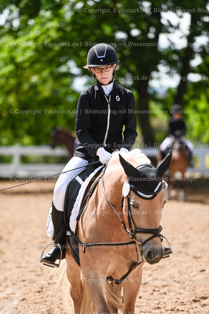 20230716_10-3_Reiter-WB Schritt - Trab - Galopp_0025 | equistock