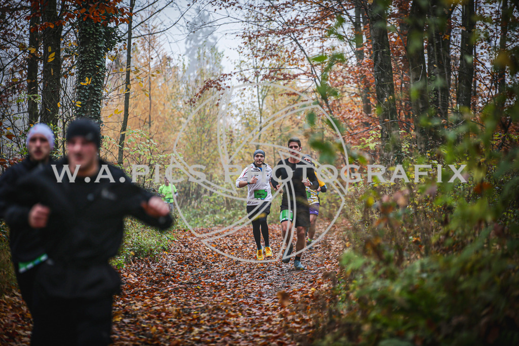 ..... | LEONDING,AUSTRIA,8.November 25, Kürnberglauf 2025  , Image shows: Photo: WAPICS / Andreas Willdoner