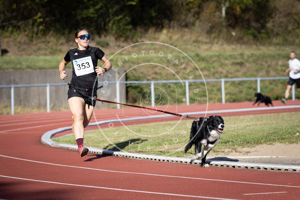 Pfotenfotografie_DV3A9702 | Hundefotografie, Tierfotograf, Pfotenfotografie, Fotoshooting Hund, Hunde Portrait, Hundesport, Hundeportraits, Heideshooting, Hunde, Sportfotograf, Hundefotograf, Turnierhundsport, THS,  - Realisiert mit Pictrs.com
