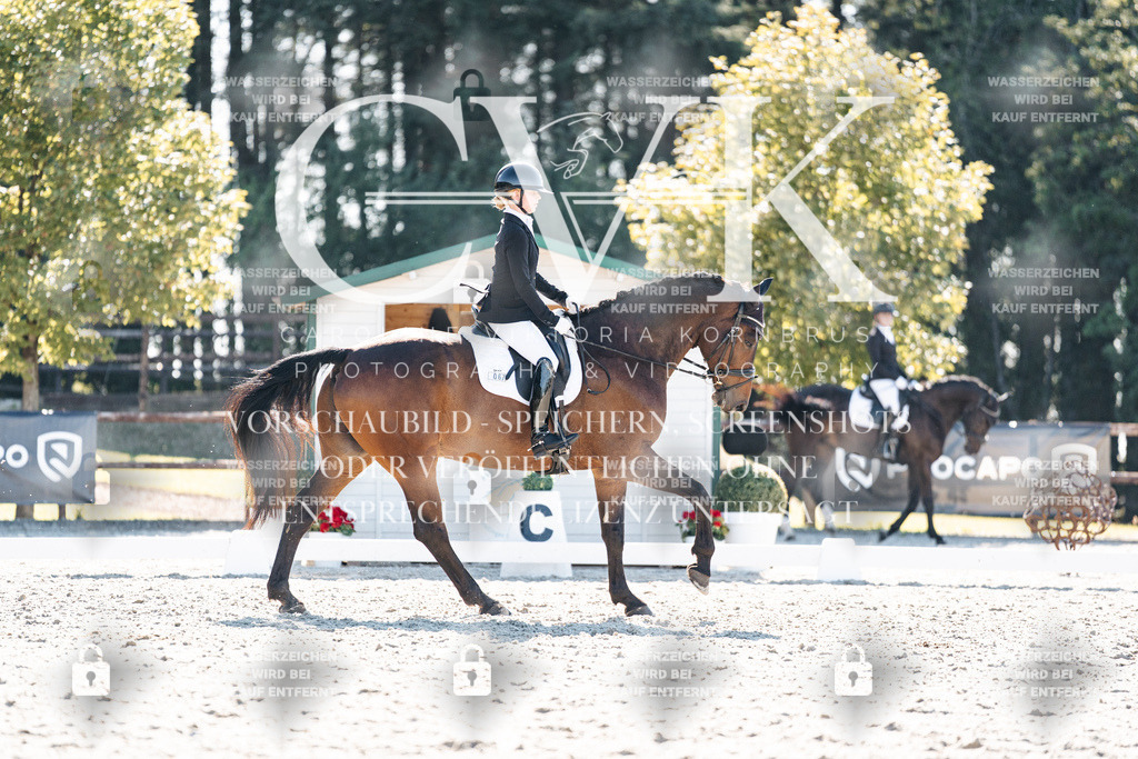 CK905739 | Turnierfotografie Pferdefotografie Trier Rheinland-Pfalz Pferdesport Reitsport Tierfotografie Sportfotografie Pferdevideo Pferdevideografie Equestrianvideography equestrianphotography  - Realisiert mit Pictrs.com