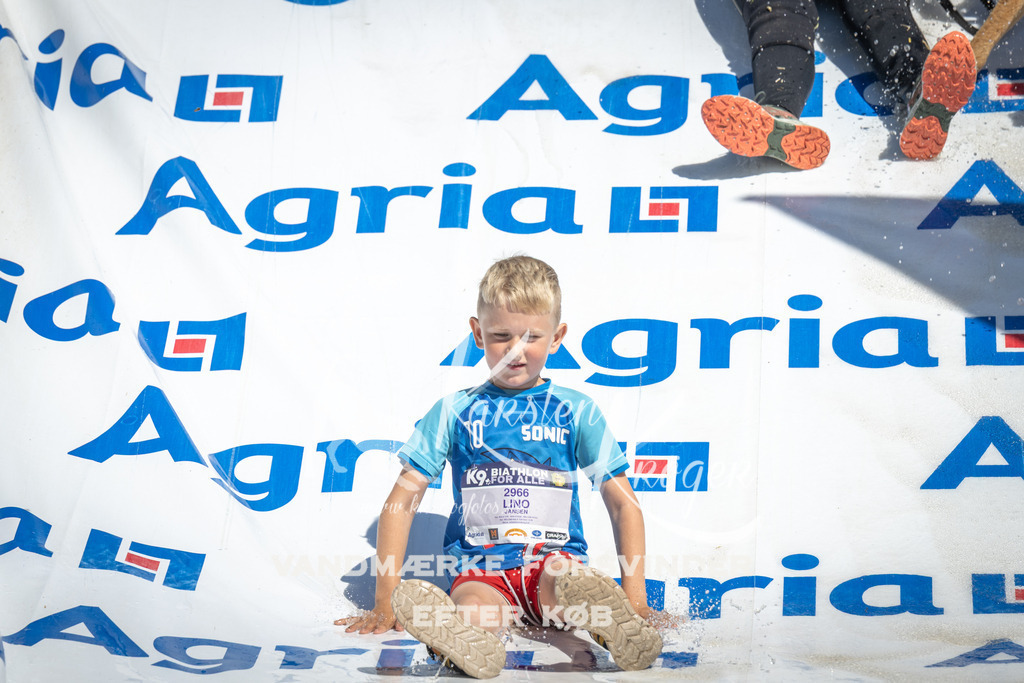 1317_ZZ99660 | kk-dogfotos