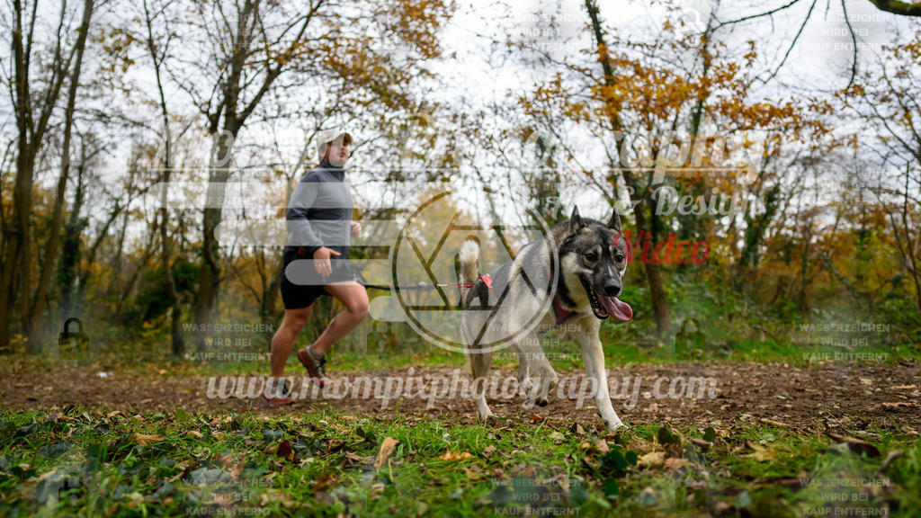 MompixPhotography_Bischwiller24_DI_CoursedeRelais-71 | PayLife