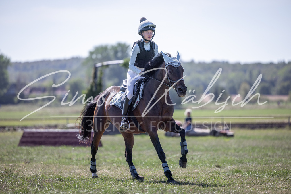 20260906-_3LI3466 | Tierfotografie Pferde, Hunde, Katzen, Haustiere.
Turnierfotografie Reitturniere, Reiten, Springreiten, Dressur in Hanau, dem Main-Kinzig-Kreis und dem Rhein-Main- Gebiet um Frankfurt
