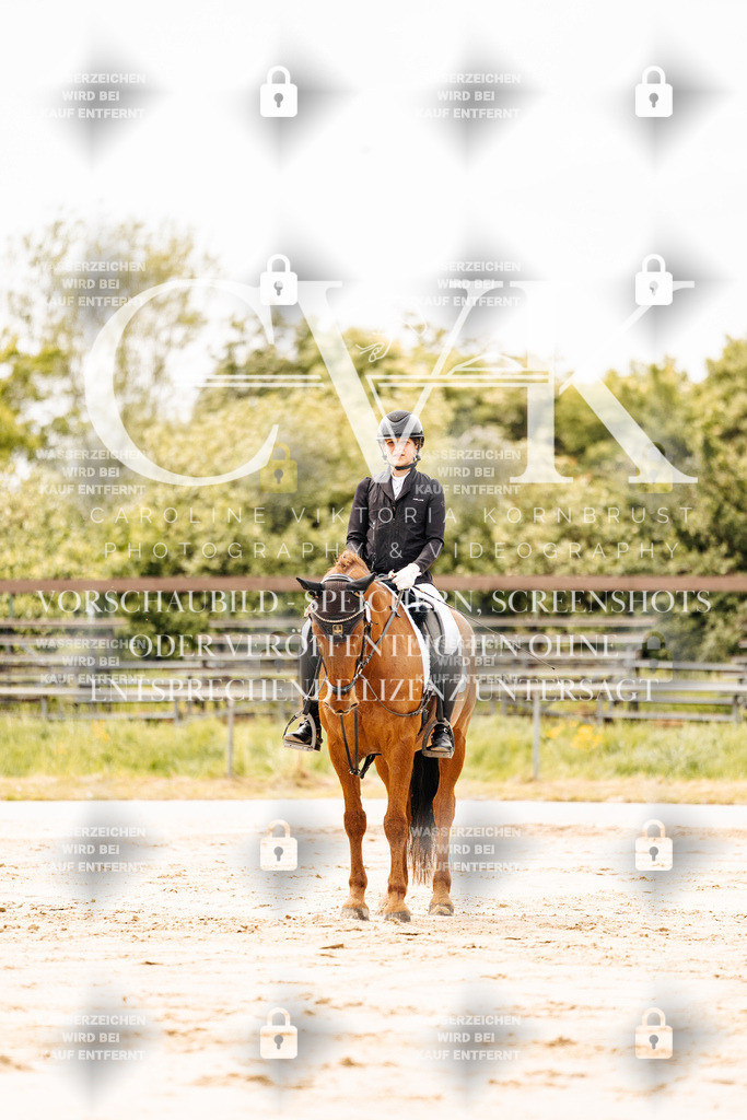 CK902746 | Turnierfotografie Pferdefotografie Trier Rheinland-Pfalz Pferdesport Reitsport Tierfotografie Sportfotografie Pferdevideo Pferdevideografie Equestrianvideography equestrianphotography  - Realisiert mit Pictrs.com