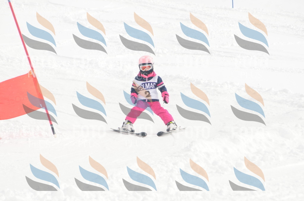 A4994 | holidayphoto