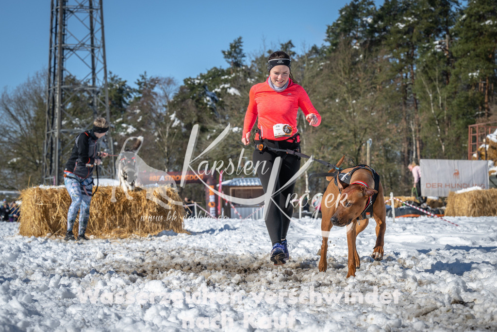 1129_ZZ92351-3 | kk-dogfotos