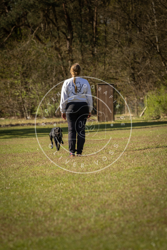 Pfotenfotografie_DV3A0258 | Hundefotografie, Tierfotograf, Pfotenfotografie, Fotoshooting Hund, Hunde Portrait, Hundesport, Hundeportraits, Heideshooting, Hunde, Sportfotograf, Hundefotograf, Turnierhundsport, THS,  - Realisiert mit Pictrs.com