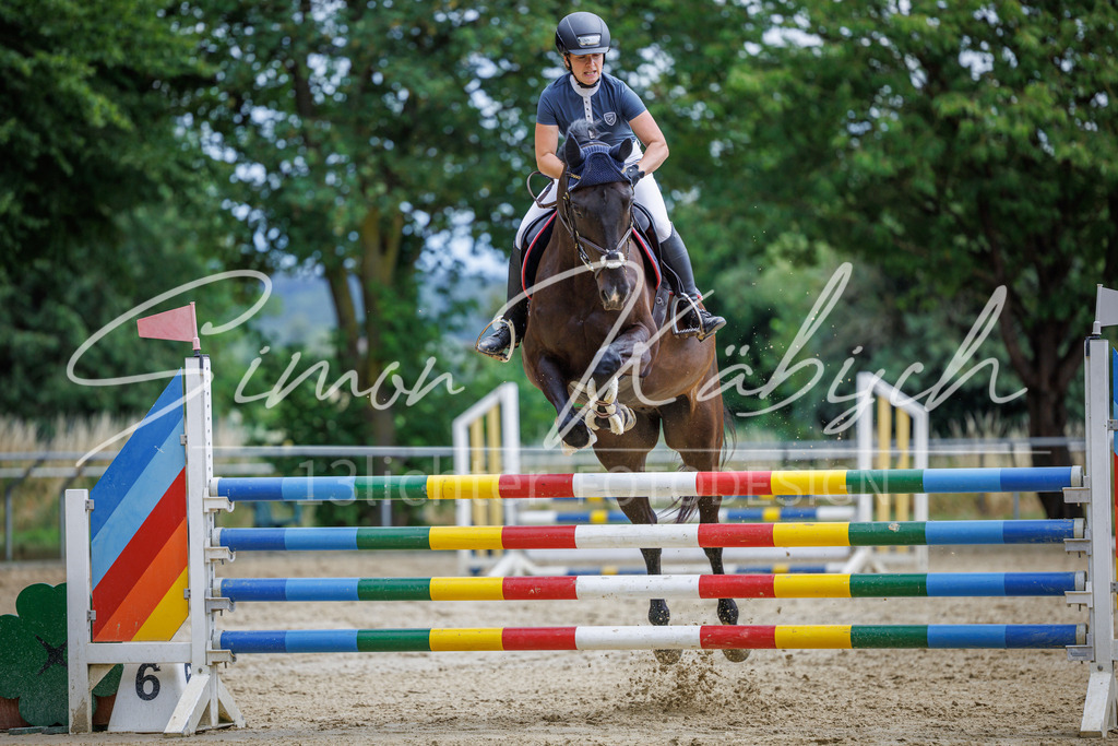 20260705-_3LI6061 | Tierfotografie Pferde, Hunde, Katzen, Haustiere.
Turnierfotografie Reitturniere, Reiten, Springreiten, Dressur in Hanau, dem Main-Kinzig-Kreis und dem Rhein-Main- Gebiet um Frankfurt