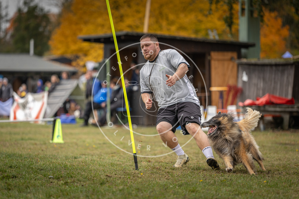Pfotenfotografie_DV3A7975 | Hundefotografie, Tierfotograf, Pfotenfotografie, Fotoshooting Hund, Hunde Portrait, Hundesport, Hundeportraits, Heideshooting, Hunde, Sportfotograf, Hundefotograf, Turnierhundsport, THS,  - Realisiert mit Pictrs.com