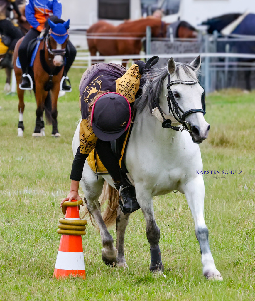 1B3A1526 | Reitsport Reiten
