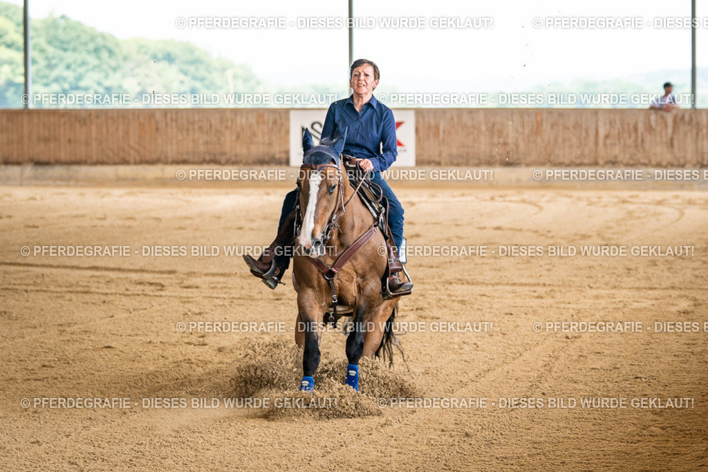 DSC04255 | Pferdegrafie