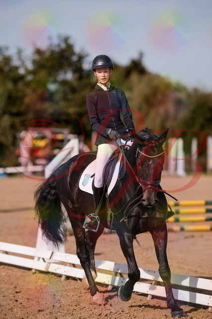 2026_10_03_Siefer-Hof_115732_Z81_98141956 | Professionelle Reitsport-, Turnier- und Eventfotografie von Robert Broda. Galerien mit ausgewählten und bearbeiteten Bildern direkt online ansehen und bestellen.