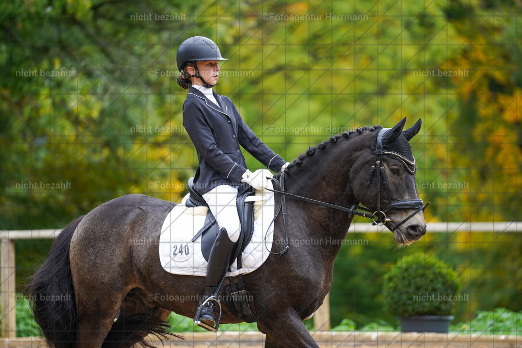 20221008-FAH00921 | Diessen am Ammersee, 2022, Dressur- und Springturnier, Reitsportbilder, Turnierfotografen Bayern, Pferdefotografen, Fotoagentur Herrmann, Turnierbilder