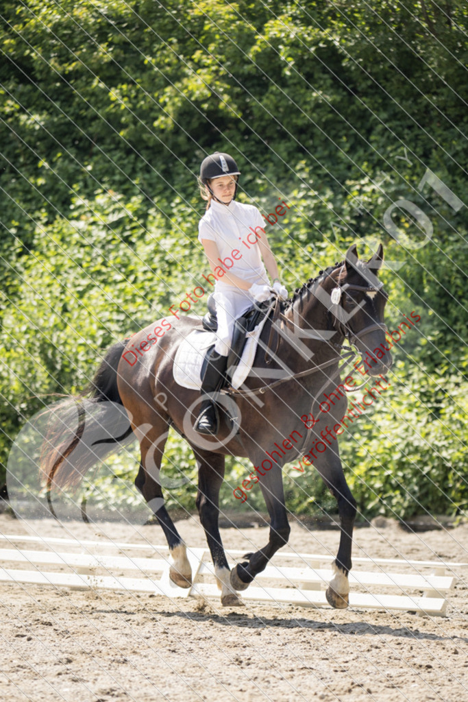 IMG_4553 | Sport-, Event- und Tierfotos in Profiqualität. Einfach auswählen, bestellen und herunterladen. Dein Moment – perfekt festgehalten.
