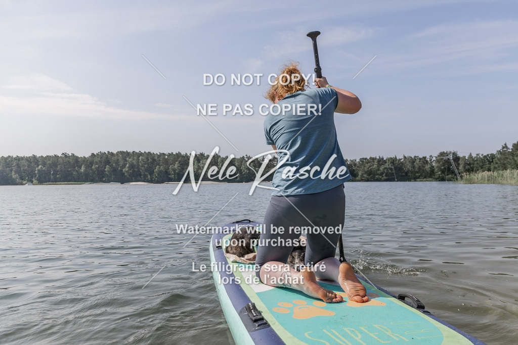 BUHU_SUP_363 | nelerasche