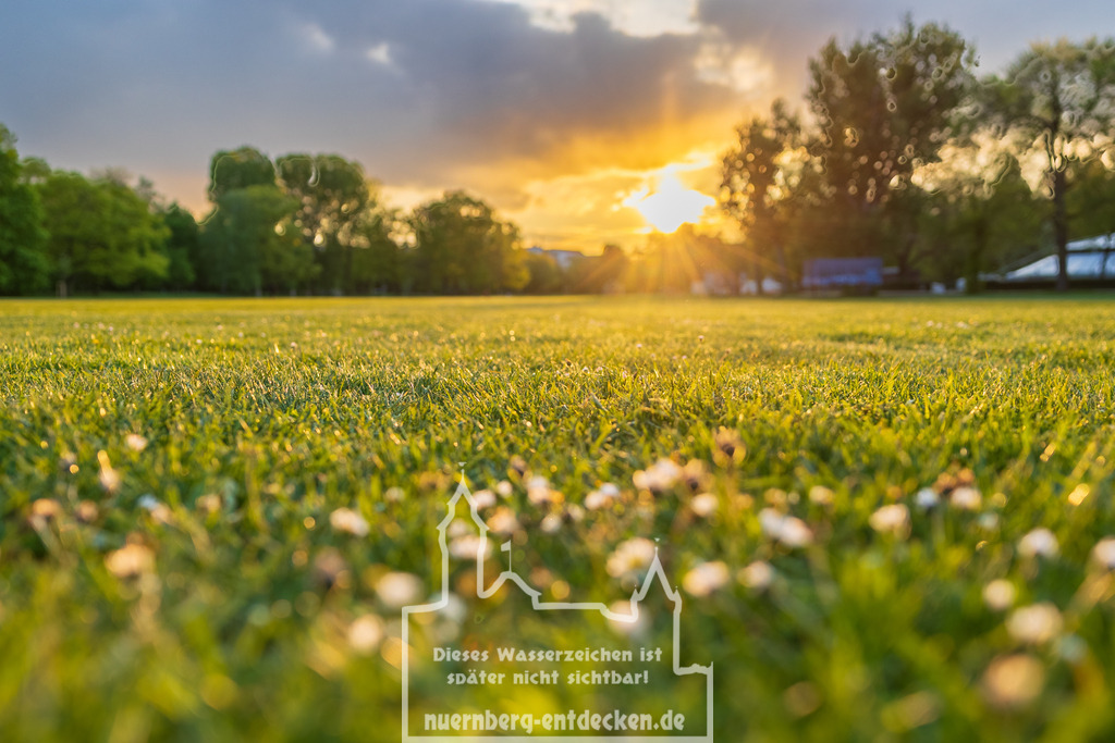 Frühling in Nürnberg | Grüne Oase in der Innenstadt Nürnbergs, hier die Wöhrder Wiese in den Abendstunden kurz vor dem Sonnenuntergang. - Realisiert mit Pictrs.com