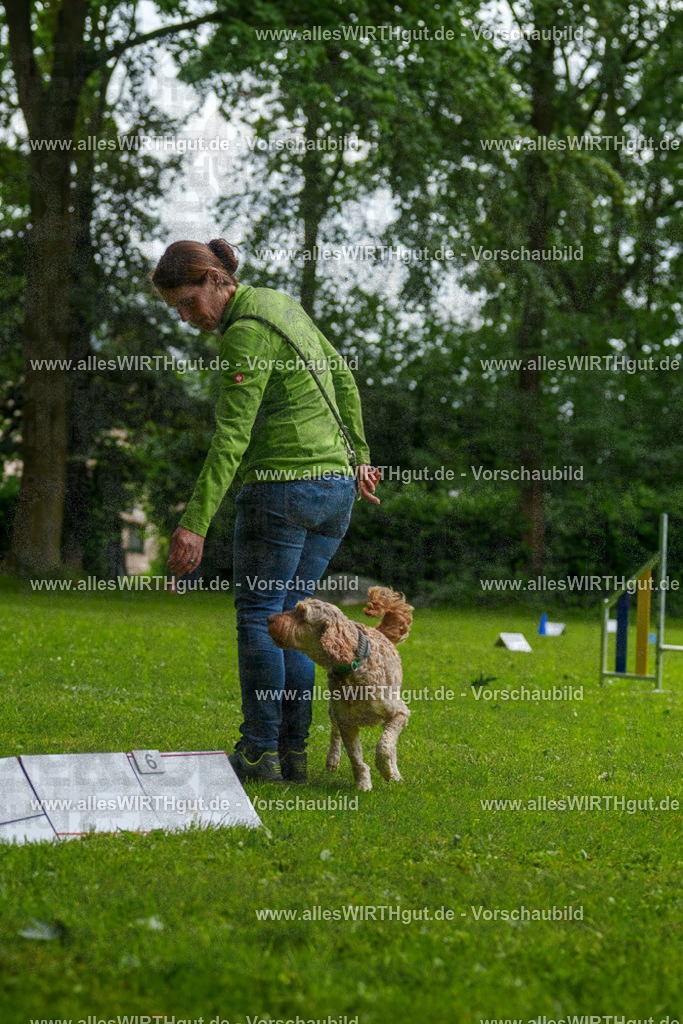 @allesWIRTHgut_Tierfotografie - www.allesWIRTHgut.de - 092200-7R506992 | Professionelle Tierfotografie in Mönchengladbach von Daniel Wirth (allesWIRTHgut). Liebevolle & natürliche Bilder von Hunden & Katzen für unvergessliche Erinnerungen.