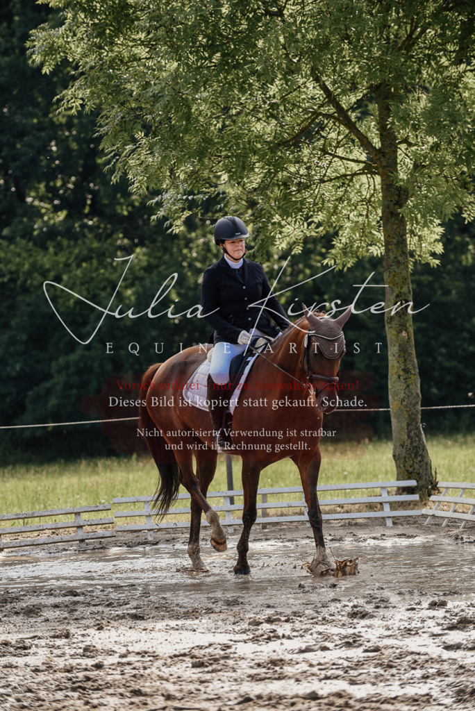 DSC_9220 | Pferde- und Turnierfotografie in Westsachsen. Pferdeportraits, Auftragszeichnungen und intuitive Kunst.