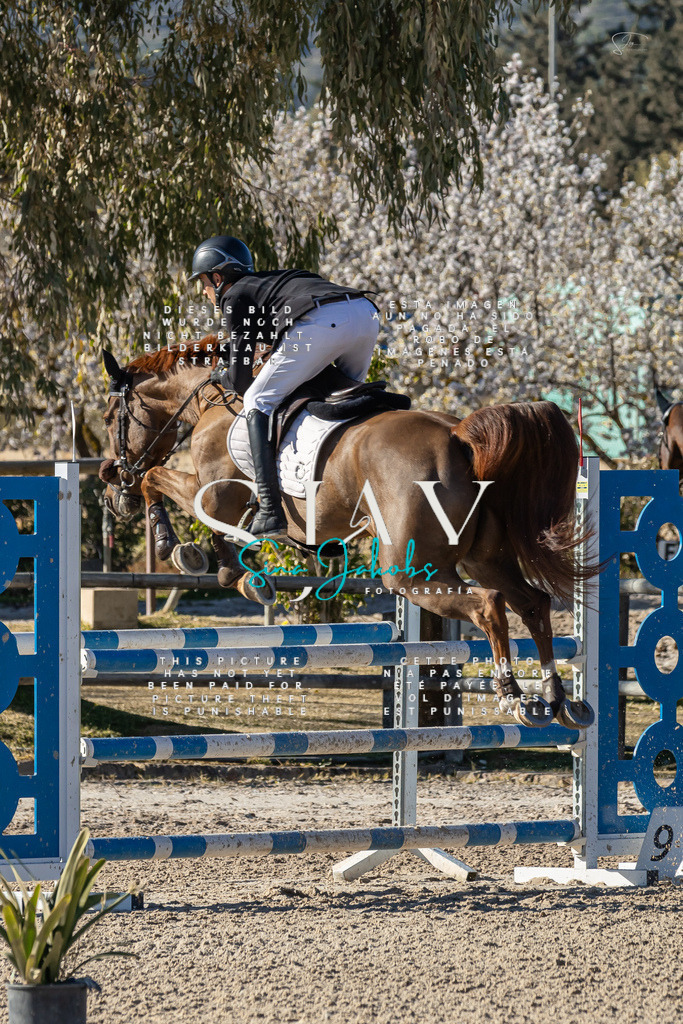 IMG_1634 | s-jay-photography - Realisiert mit Pictrs.com