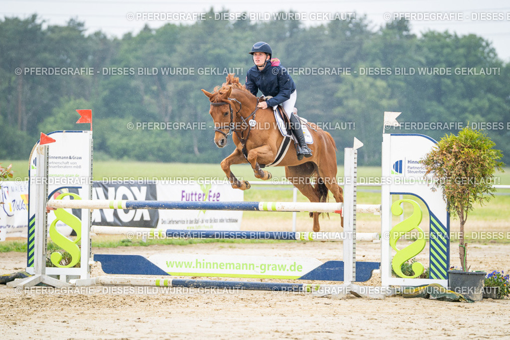 DSC00926 | Pferdegrafie