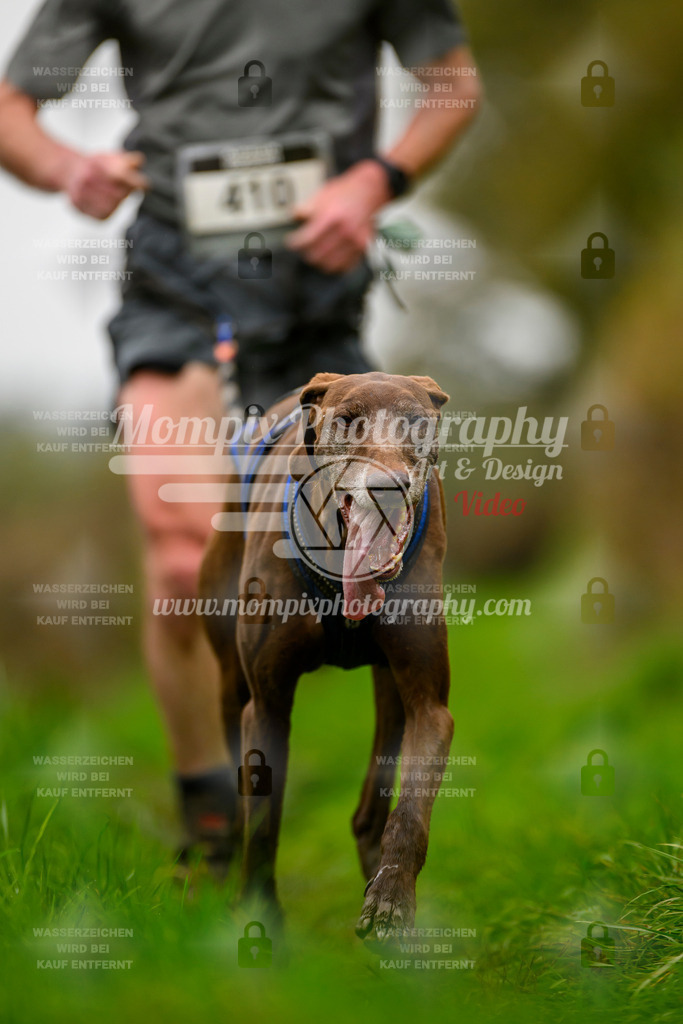 MompixPhotography_20TSB_E8_Run-11 | PayLife