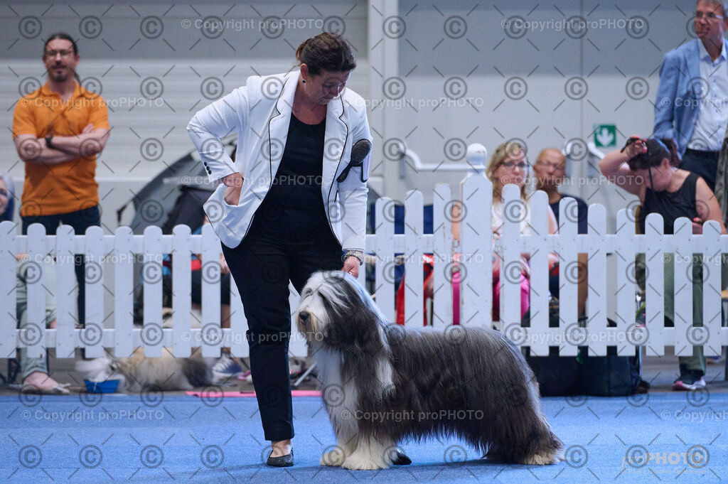 202406_ÖKV-IHA-Tulln24_DSC_3789 | proPHOTO - Realisiert mit Pictrs.com