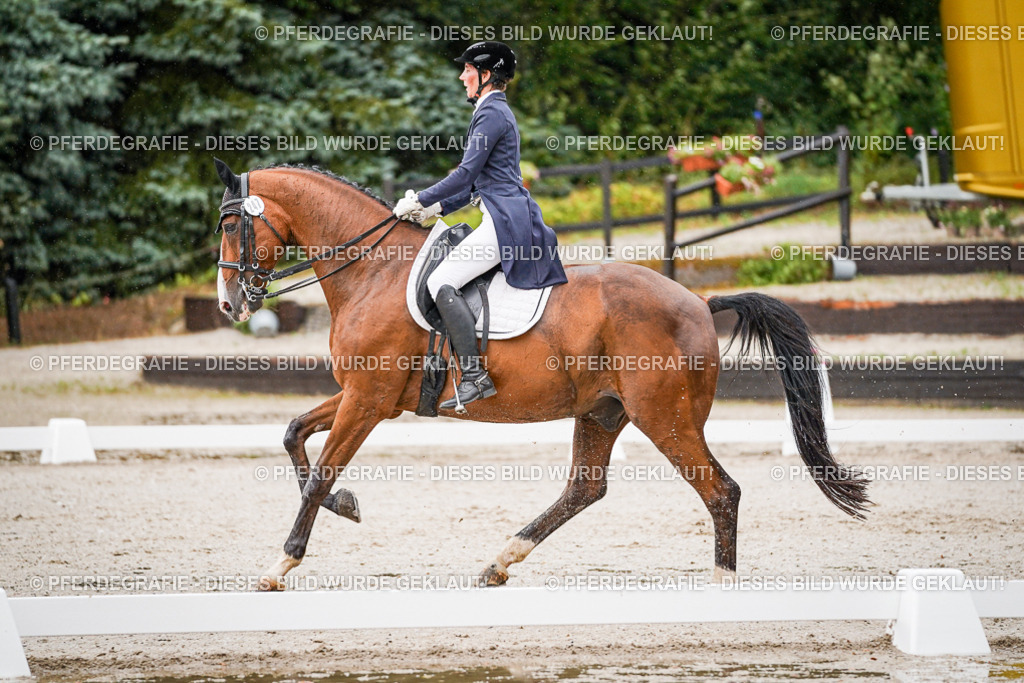 DSC08638 | Pferdegrafie