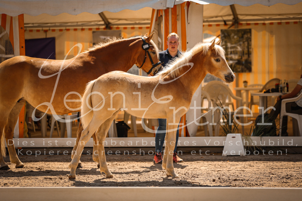 06.DoH00027 | Leoni Ertmer Photography - Realisiert mit Pictrs.com