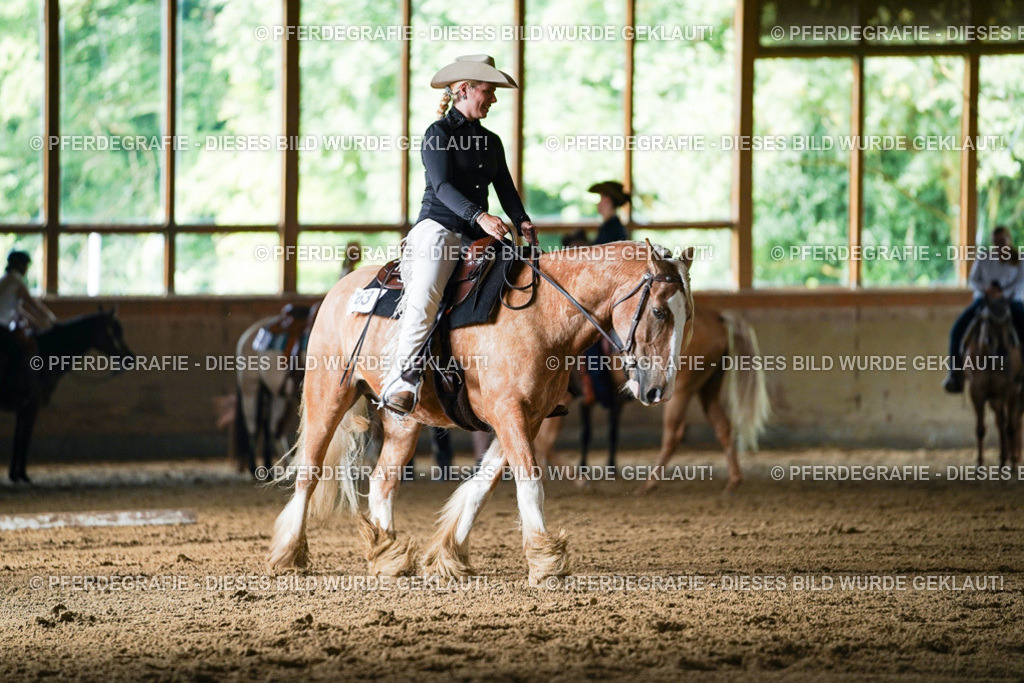 DSC05526 | Pferdegrafie