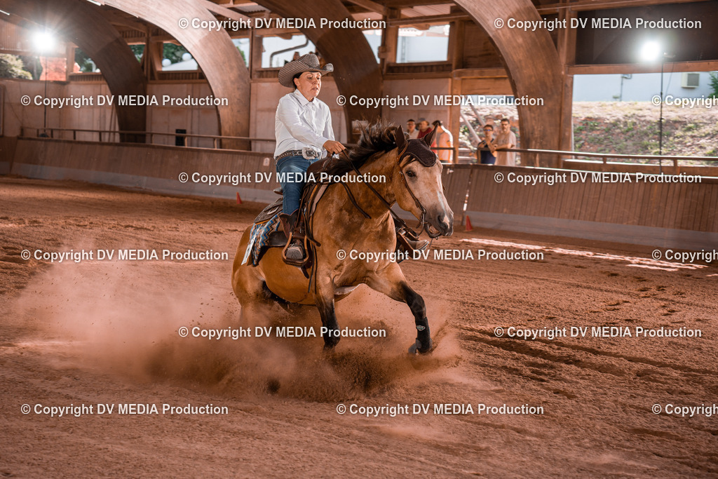 NE201222 | dv-media-shop - Realisiert mit Pictrs.com