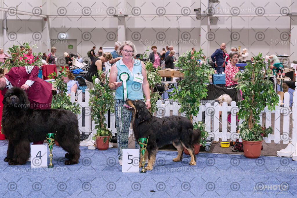 202406_ÖKV-IHA-Tulln24_NZ9_8658 | proPHOTO - Realisiert mit Pictrs.com