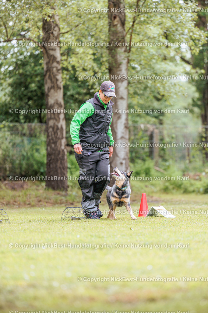 RO-Blumenthal-2026-Nickbest-Hundefotografie-1782 | Dein Hund! Dein Moment! Deine Erinnerungen! Hundefotografie in Bremen Blumenthal. Ich fange die besonderen Momente deines Vierbeiners ein – ob Indoor mit Blitzanlage oder in der freien Natur. Sicher dir dein Moment und dein Termin für eure Erinnerungen.