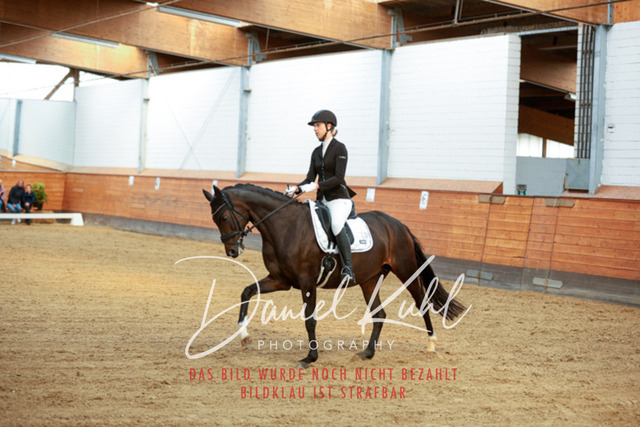 _62_5313 | Turniersportfotografie; Pferdefotografie; Dressurfotografie