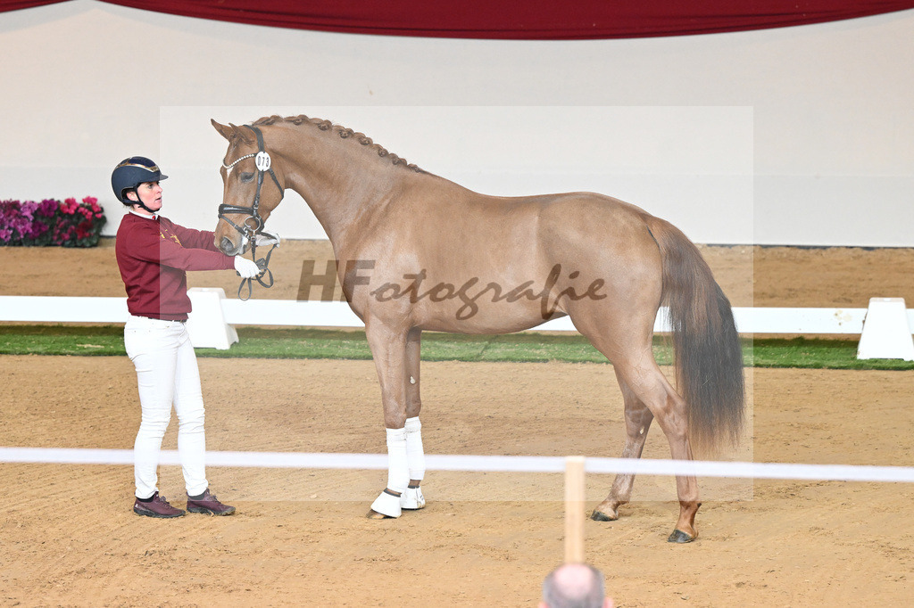Kat-Nr. 73 Vaderland_Galneder_1230421 | hf-fotografie - Realisiert mit Pictrs.com