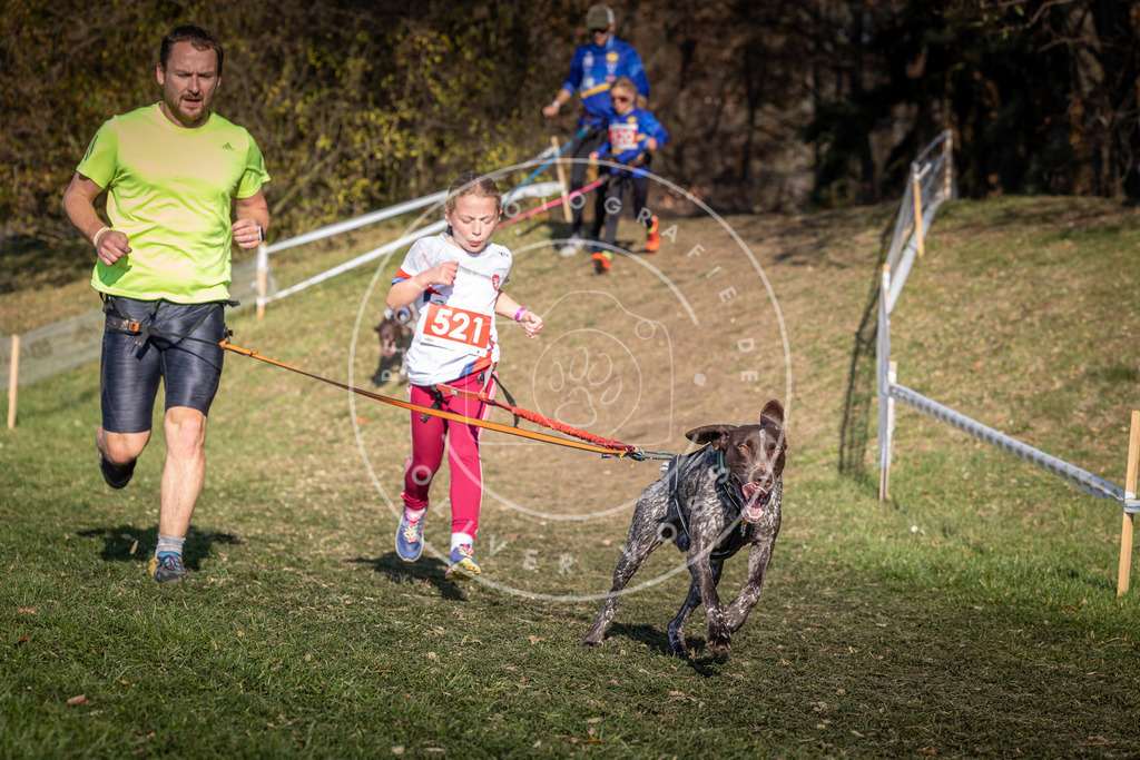 CaniXpix_0L8A8684 | Hundefotografie, Tierfotograf, Pfotenfotografie, Fotoshooting Hund, Hunde Portrait, Hundesport, Hundeportraits, Heideshooting, Hunde, Sportfotograf, Hundefotograf, Turnierhundsport, THS,  - Realisiert mit Pictrs.com