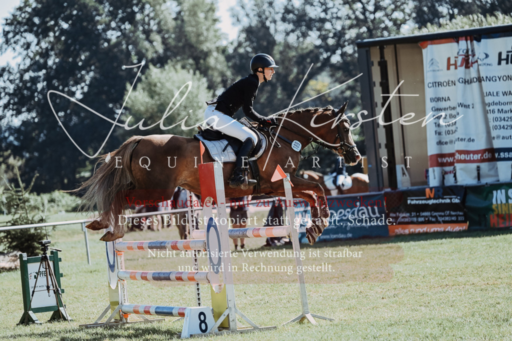 DSC_5417 | Pferde- und Turnierfotografie in Westsachsen. Pferdeportraits, Auftragszeichnungen und intuitive Kunst.