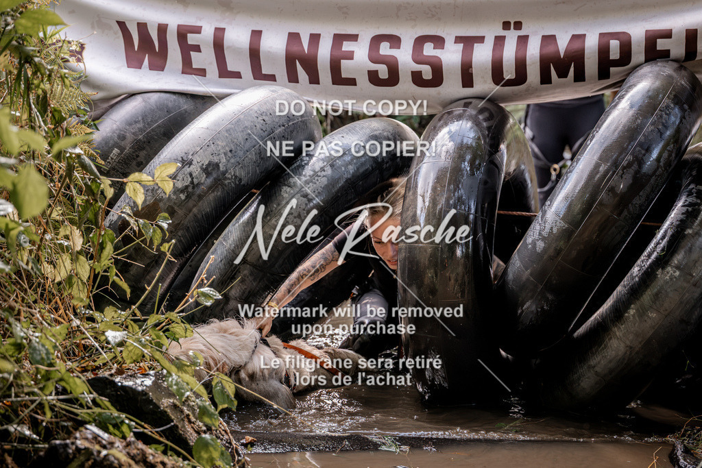 nelerasche_Hunsrück2026_Sa1400-1500_253 | nelerasche
