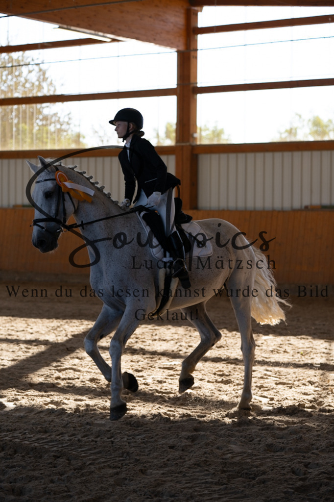A7V01826 | Turnier/Reitfotograf