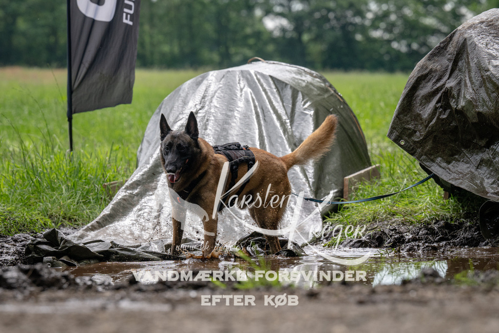 0957_ZZ92336 | kk-dogfotos