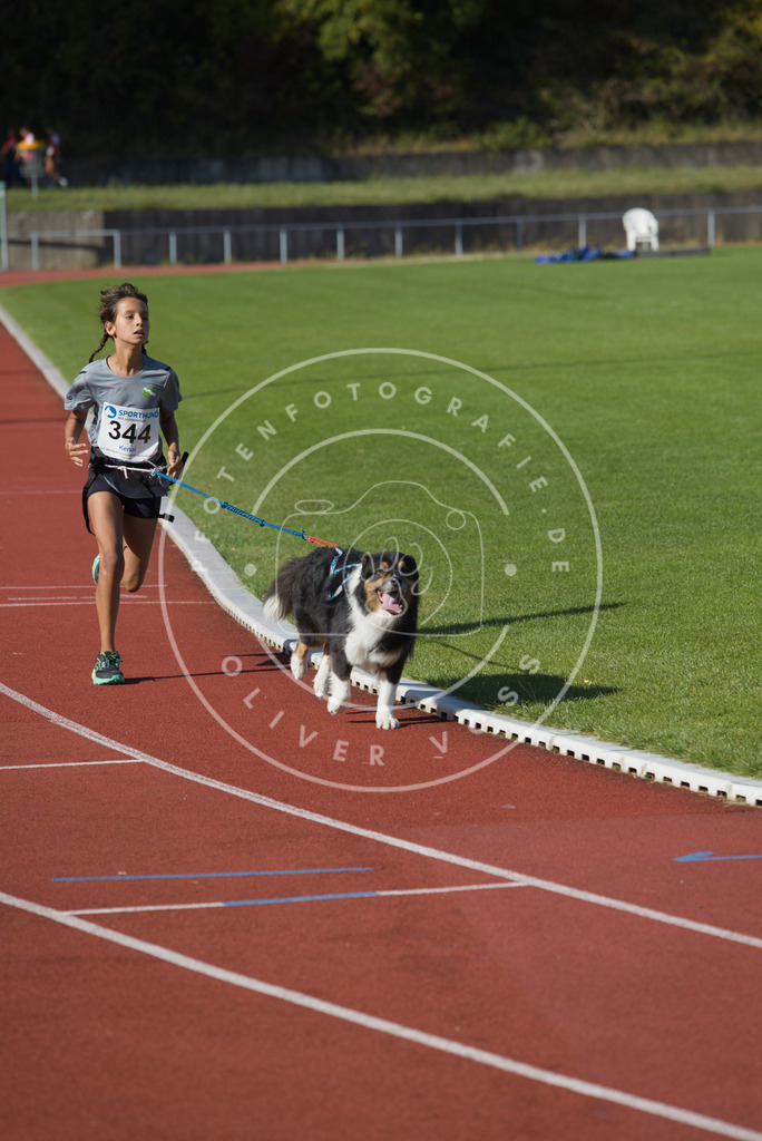 0L8A9086 | Hundefotografie, Tierfotograf, Pfotenfotografie, Fotoshooting Hund, Hunde Portrait, Hundesport, Hundeportraits, Heideshooting, Hunde, Sportfotograf, Hundefotograf, Turnierhundsport, THS,  - Realisiert mit Pictrs.com