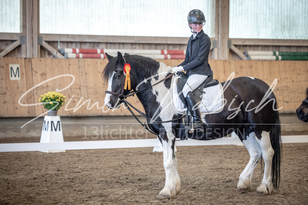 20251011-_3LI8078 | Tierfotografie Pferde, Hunde, Katzen, Haustiere.
Turnierfotografie Reitturniere, Reiten, Springreiten, Dressur in Hanau, dem Main-Kinzig-Kreis und dem Rhein-Main- Gebiet um Frankfurt