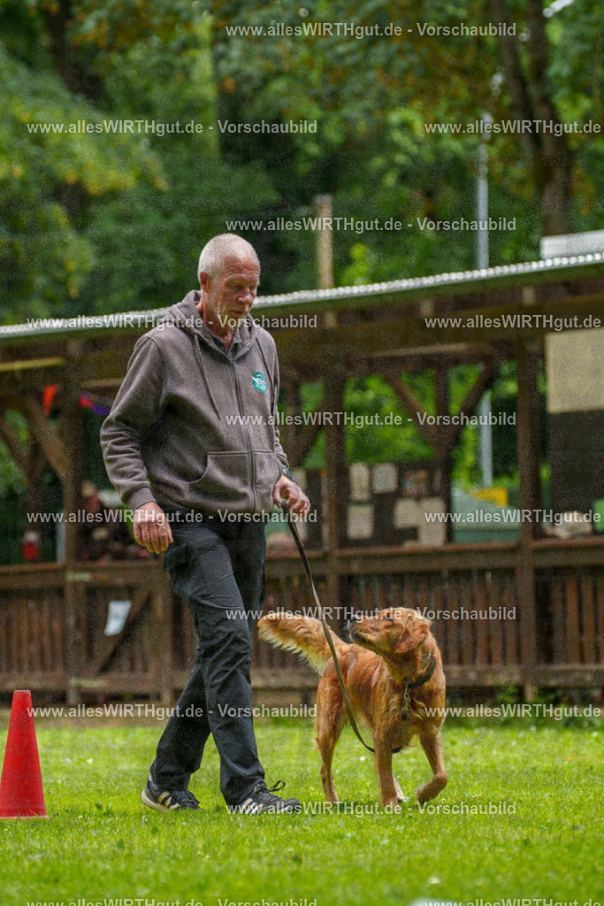 @allesWIRTHgut_Tierfotografie - www.allesWIRTHgut.de - 125811-7R509606 | Professionelle Tierfotografie in Mönchengladbach von Daniel Wirth (allesWIRTHgut). Liebevolle & natürliche Bilder von Hunden & Katzen für unvergessliche Erinnerungen.