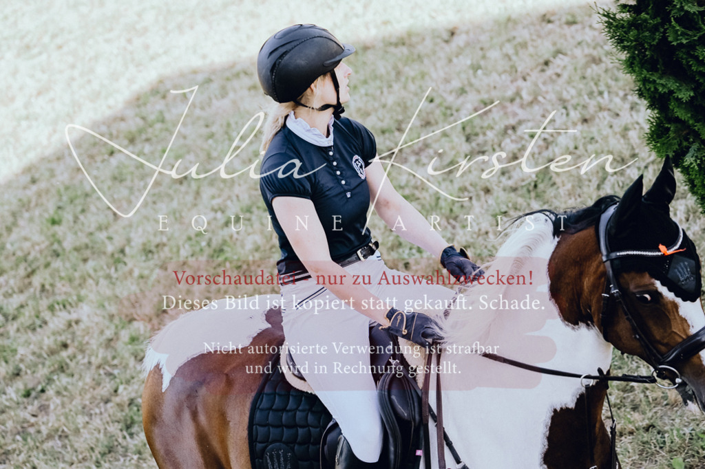 DSC_2414 | Pferde- und Turnierfotografie in Westsachsen. Pferdeportraits, Auftragszeichnungen und intuitive Kunst.